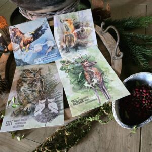 Krafttierkarten – Dachs, Rabe, Hase, Wolf