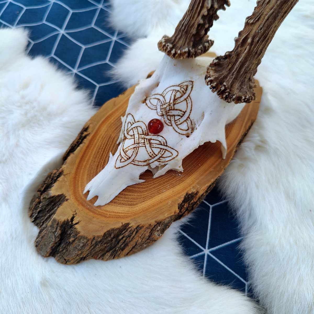 Rehbock – Keltischer Knoten – Bild 2