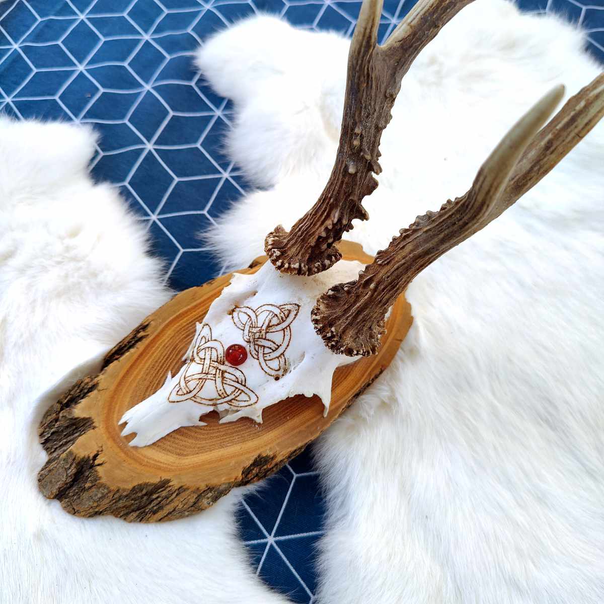 Rehbock – Keltischer Knoten – Bild 4