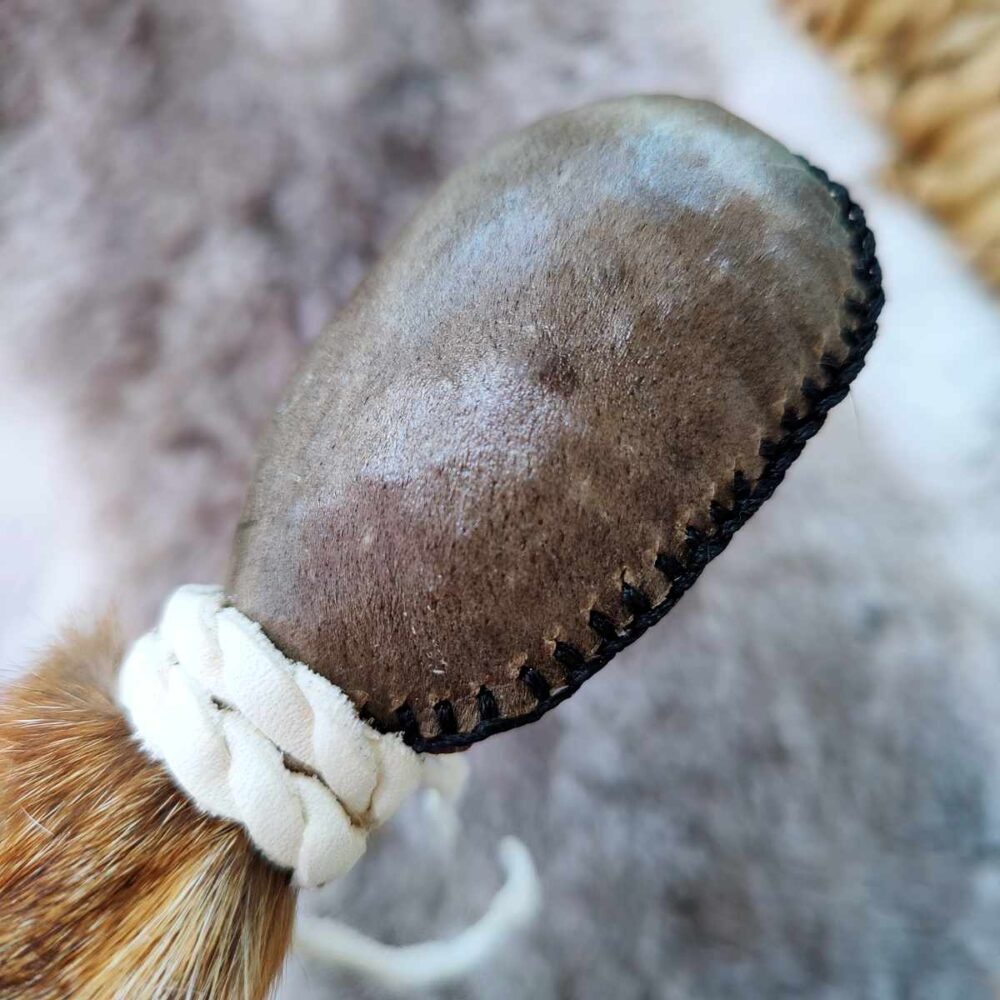 “Pfadruferin” – Bison & Fuchs – Bild 2