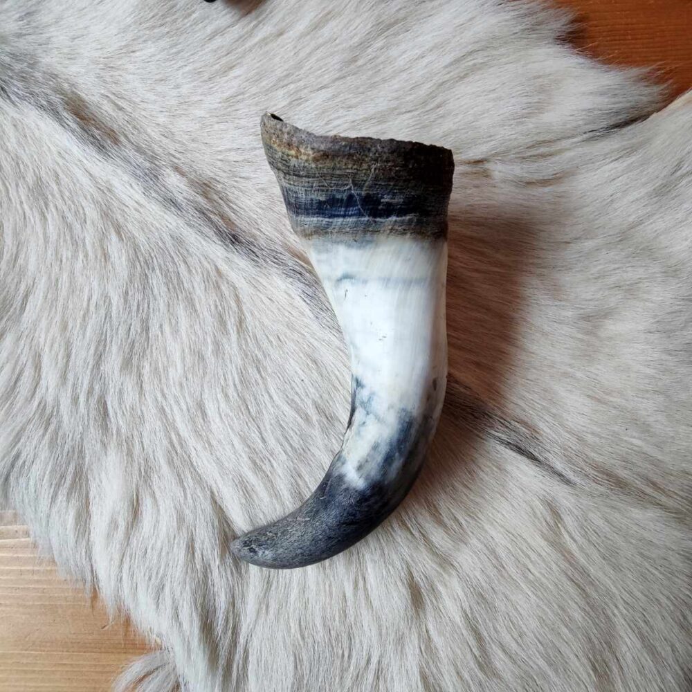 Rinderhorn – Bild 4
