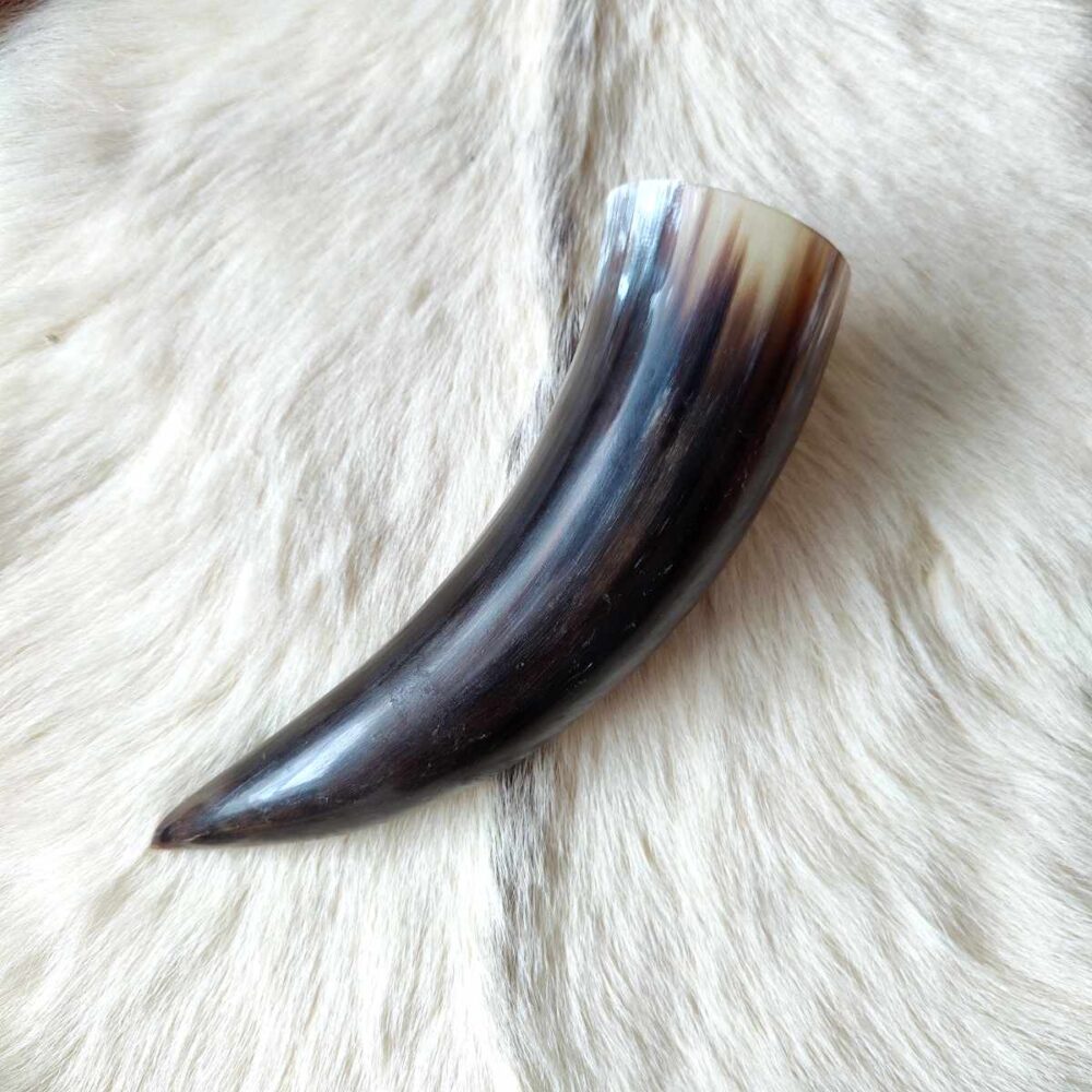 Trinkhorn – Bild 4