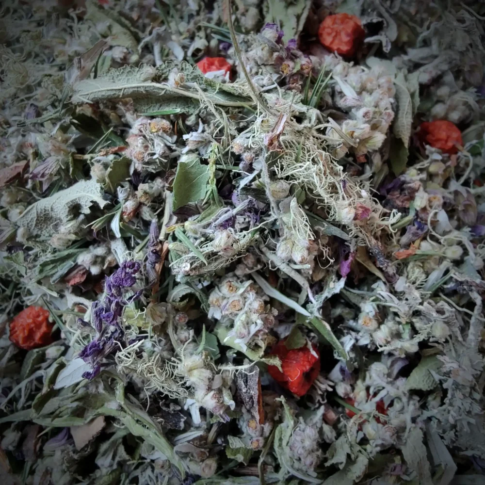 Räuchermischung „Waldfrieden“ von Glut & Sichel – getrocknete Kräuter, Blüten und Beeren für natürliche Räucherungen. Handgemacht in der Schweiz, ideal für Reinigung und Ruhe.