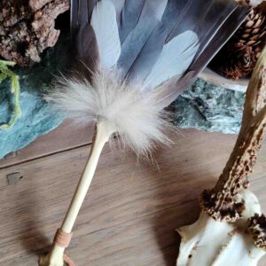 Vorderseite eine Räucherfächers aus Tauben und Entenfedern und Griff aus einem Fuchsknochen auf einen Holztisch mit Natürlichen Materialien und einem Rehbockschädel