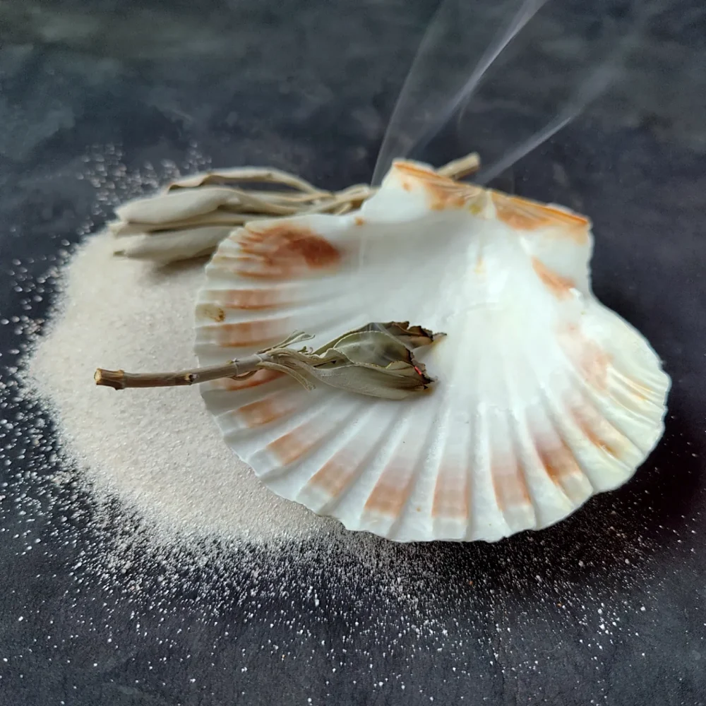Räuchernder Salbei in einer Jakobsmuschel auf Sandbett. Zarter Rauch steigt auf – natürliche Räucherschale von Glut & Sichel, aus der Schweiz für Reinigung und Rituale.