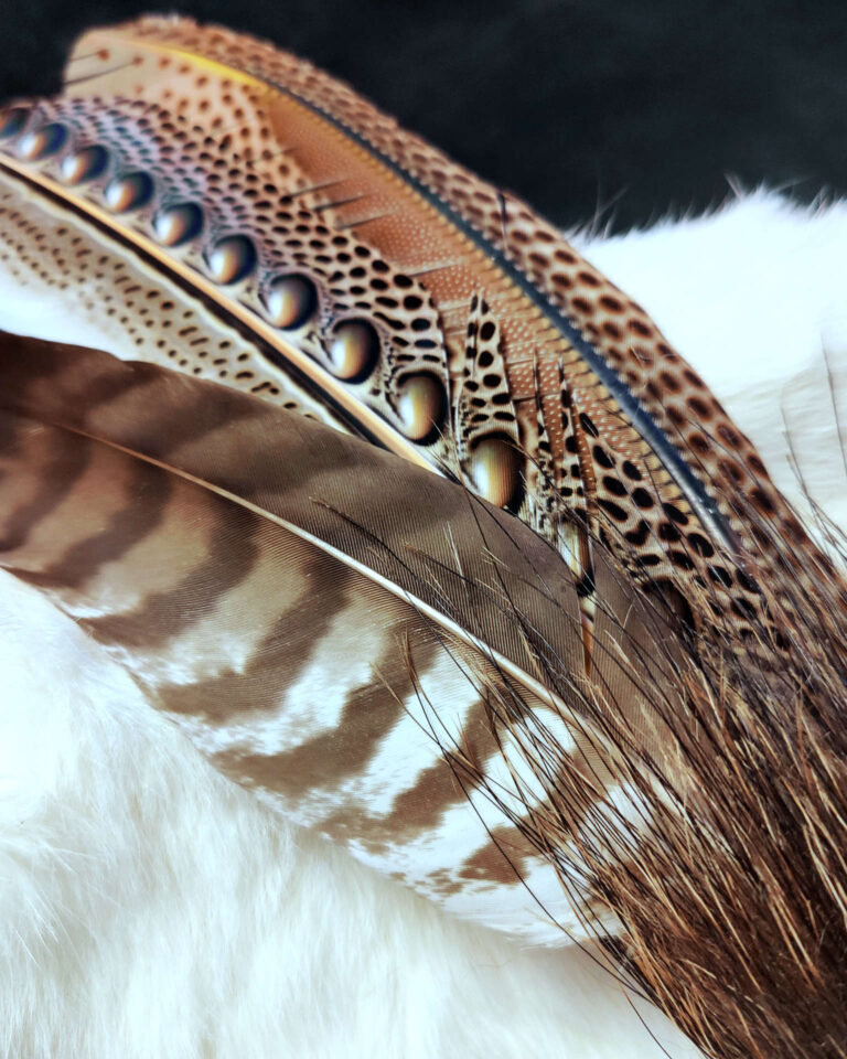 Nahaufnahme von gemusterten Argusfedern und Bussardfeder eines handgefertigten Räucherfächers in warmen Braun- und Goldtönen