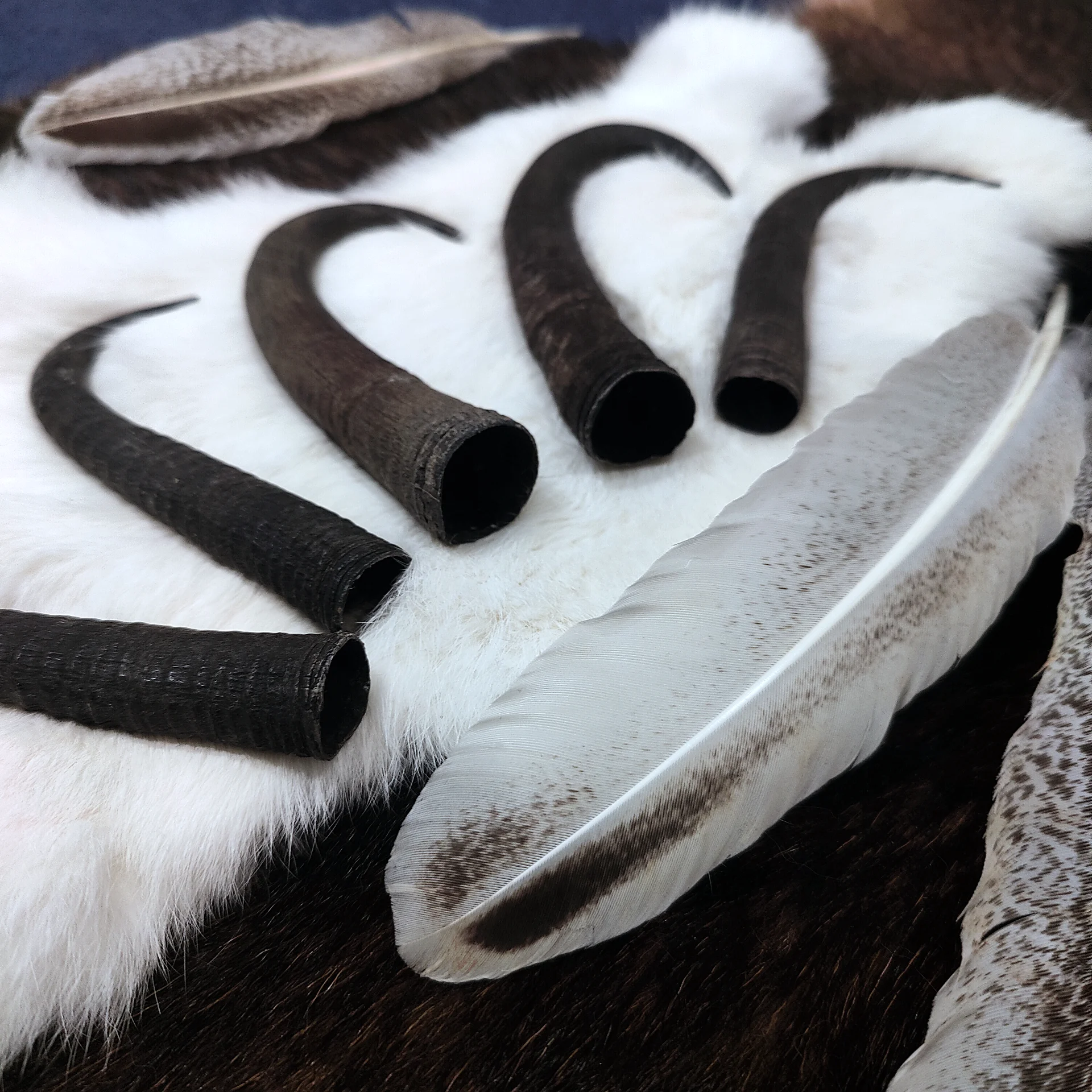 Gamskrucken aus der Schweiz auf Fell naturmaterial