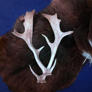 Dammhirschgeweih Löffler aus der Schweiz auf dunklem Fell