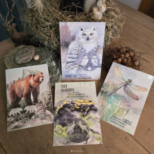 Krafttierkarten – Salamander, Schneeeule, Libelle, Bär